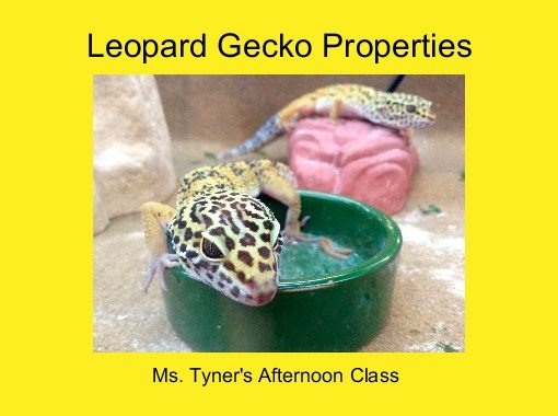 front cover