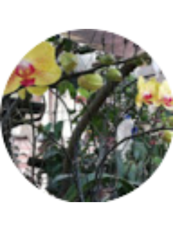 Photo of Tuyến Vũ