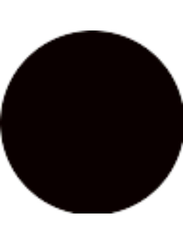 Photo of Aleksa Veljic