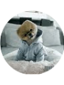 Picture of Callan Pang