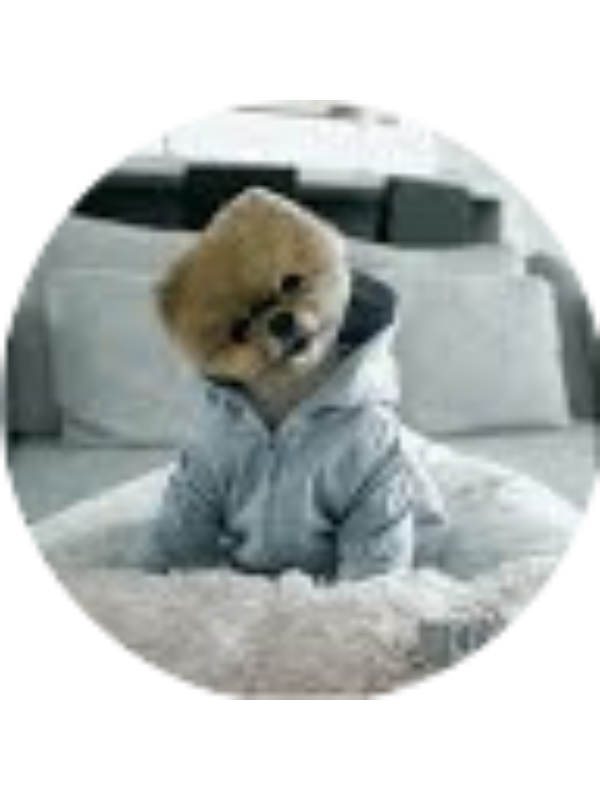 Photo of Callan Pang