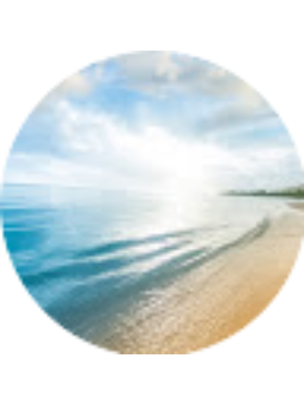 Photo of Susan Weatherly