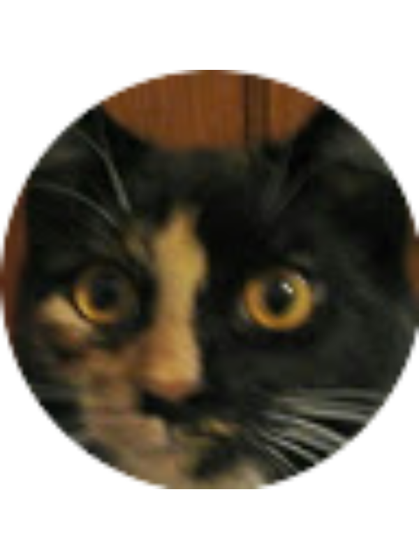 Photo of Pumpkin Mouse