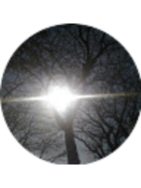 Photo of Ayu Permatasari