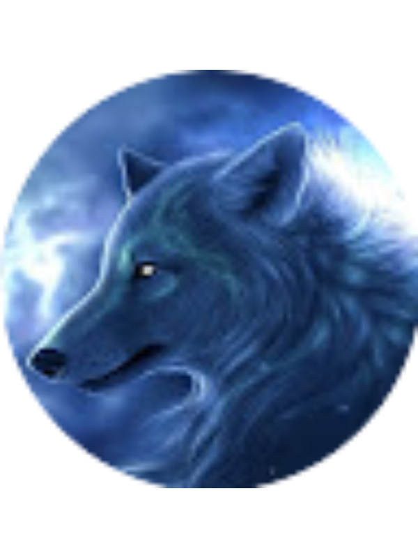 Photo of Muhammet Bayaki