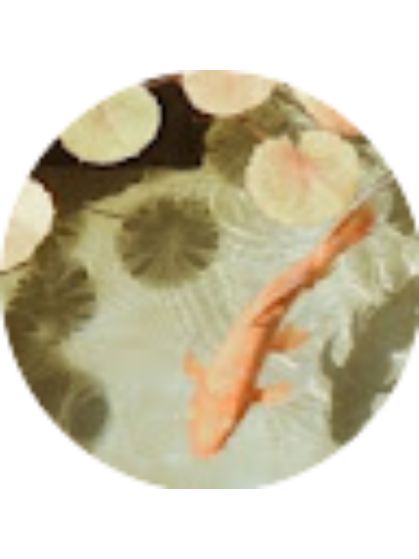 Photo of Piper Myers