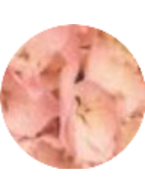 Photo of Simone Herbert