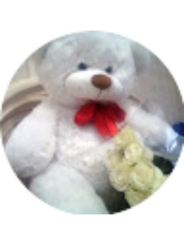 Photo of Daniela Cretu