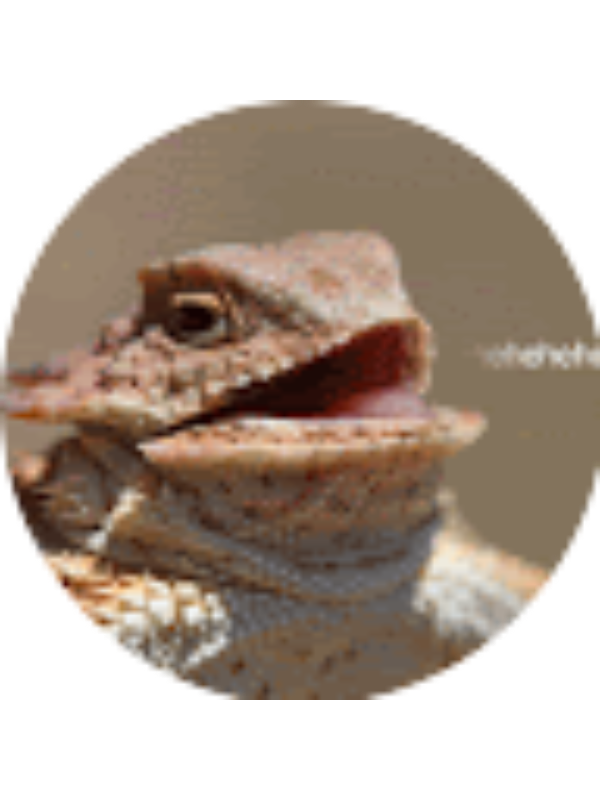 Photo of Zachary Rosenstein