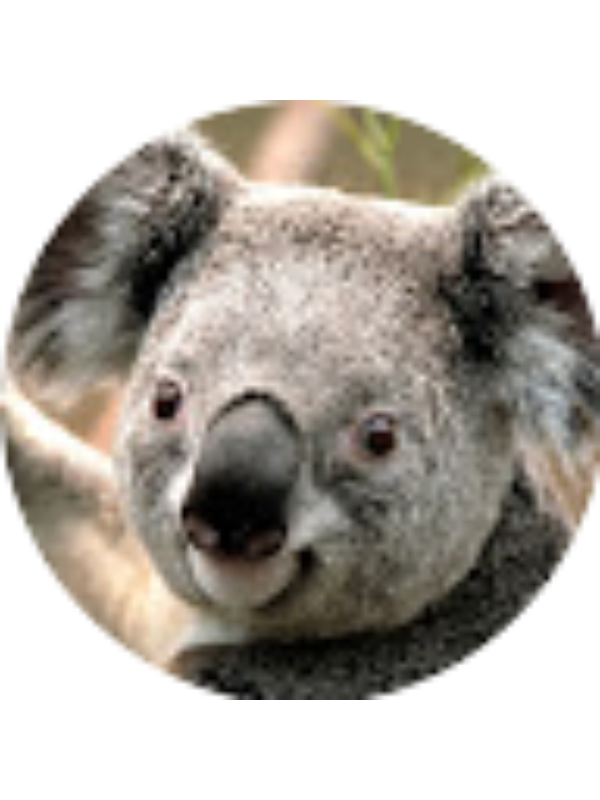 Photo of Alexander Levin