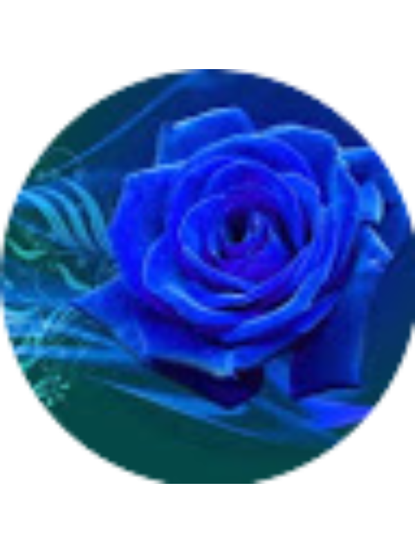 Photo of Neha Pudota