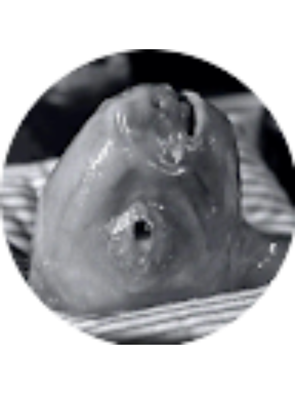 Photo of Leah Kuennen