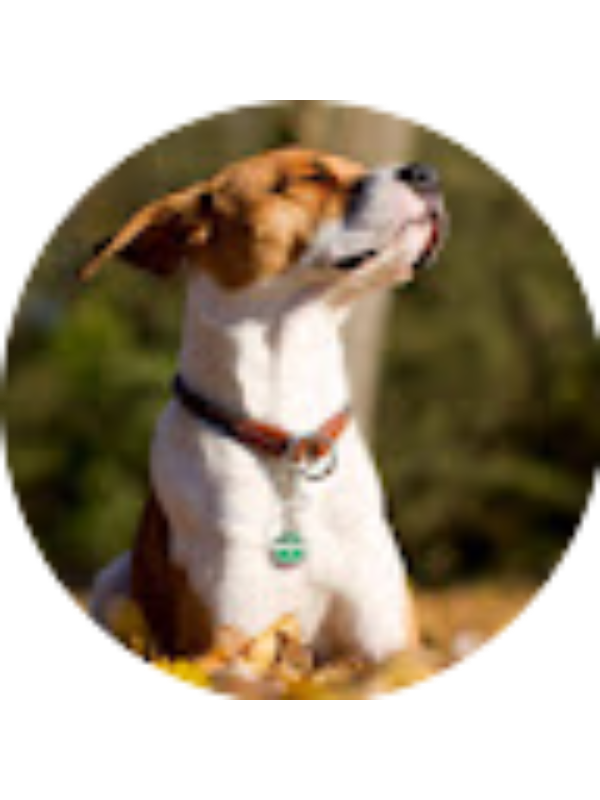 Photo of Tanya Perez