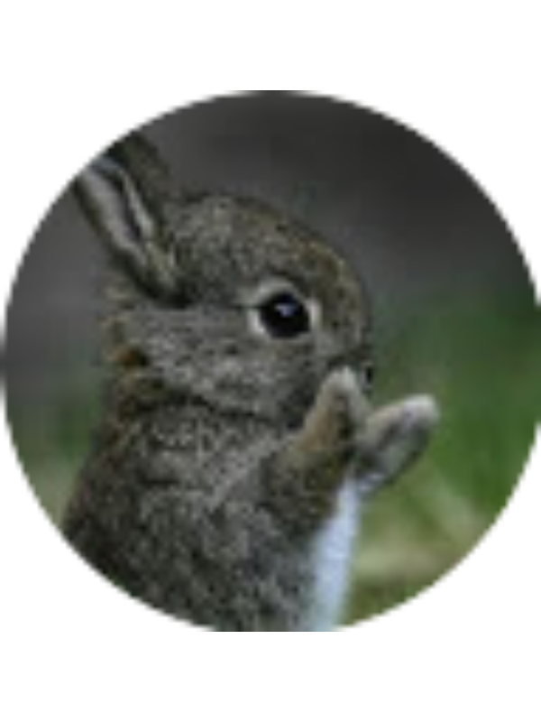 Photo of Elliana Wilson