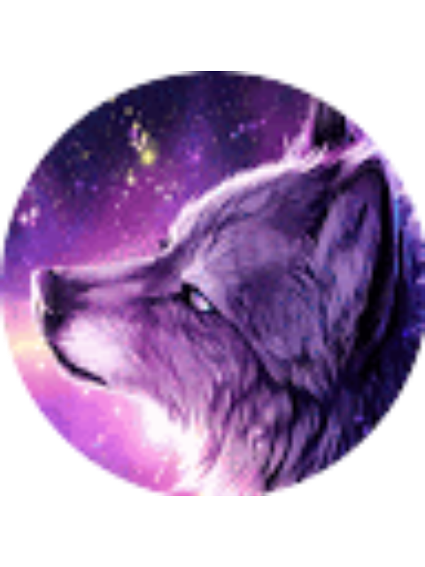 Photo of Liner Music