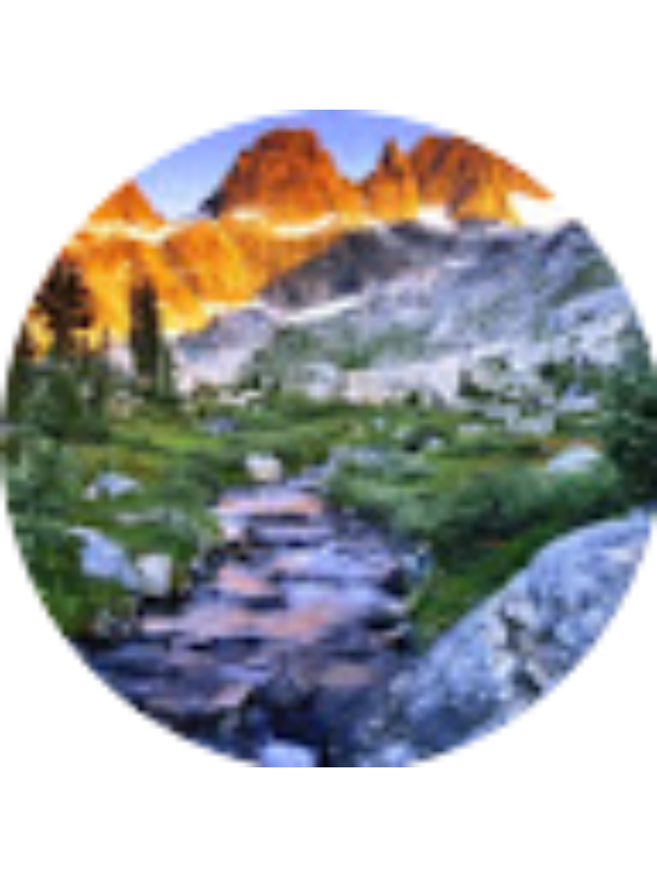 Photo of Siera Leete