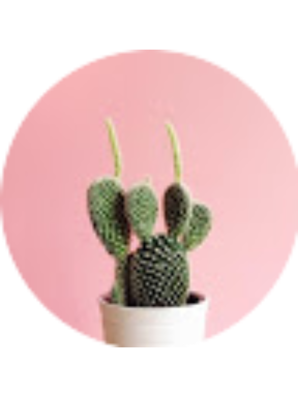 Photo of Kennedy Mansell