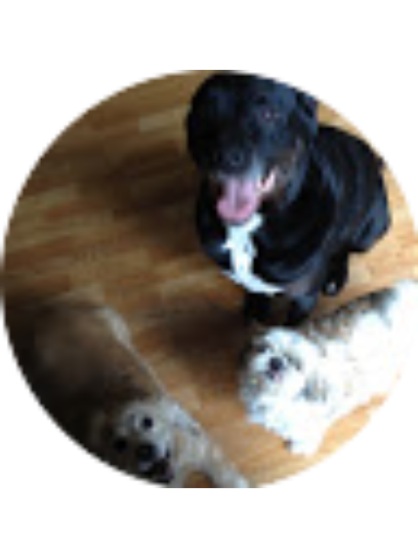 Photo of Jensen Gibson