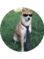 Picture of Collin Ford