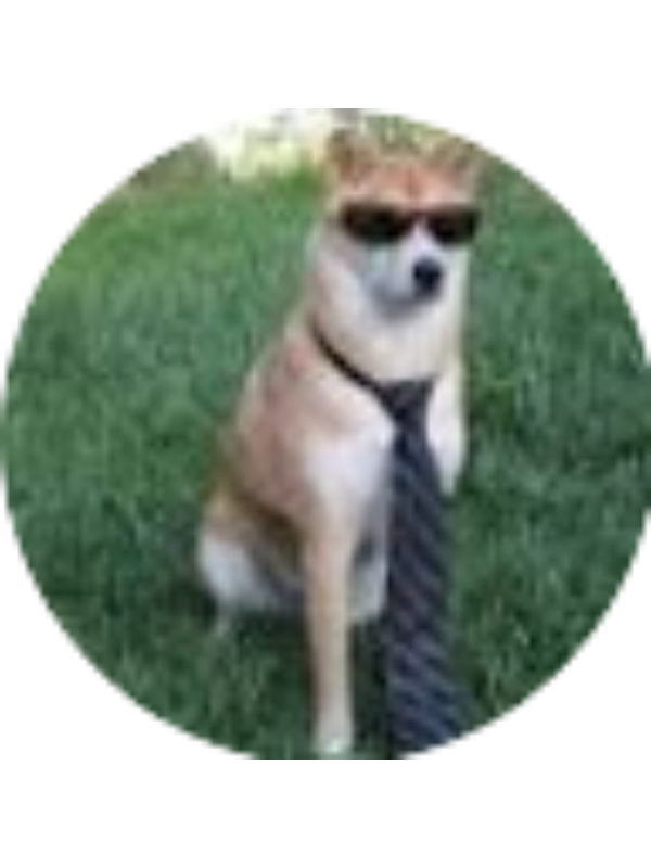 Photo of Collin Ford