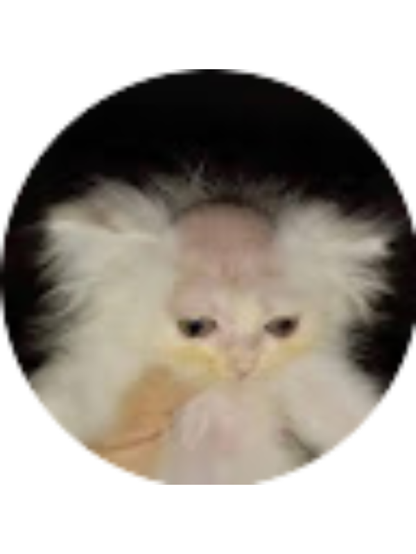 Photo of Sabino Herrera Torres