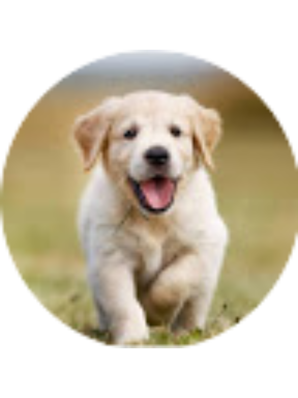 Photo of Luciana Belen Polar Acon