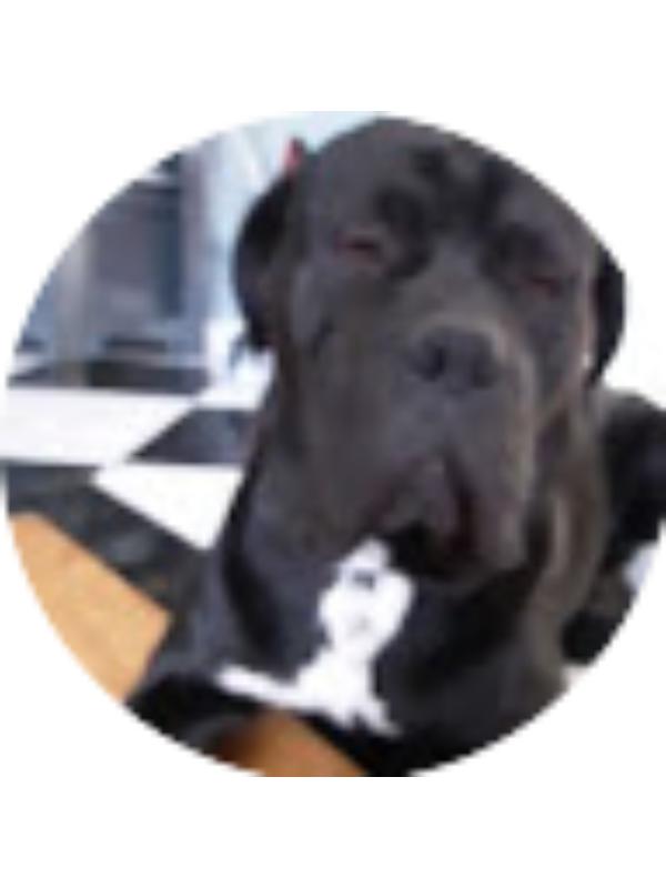 Photo of LIBBIE Quinn