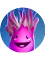 Picture of Jellie 