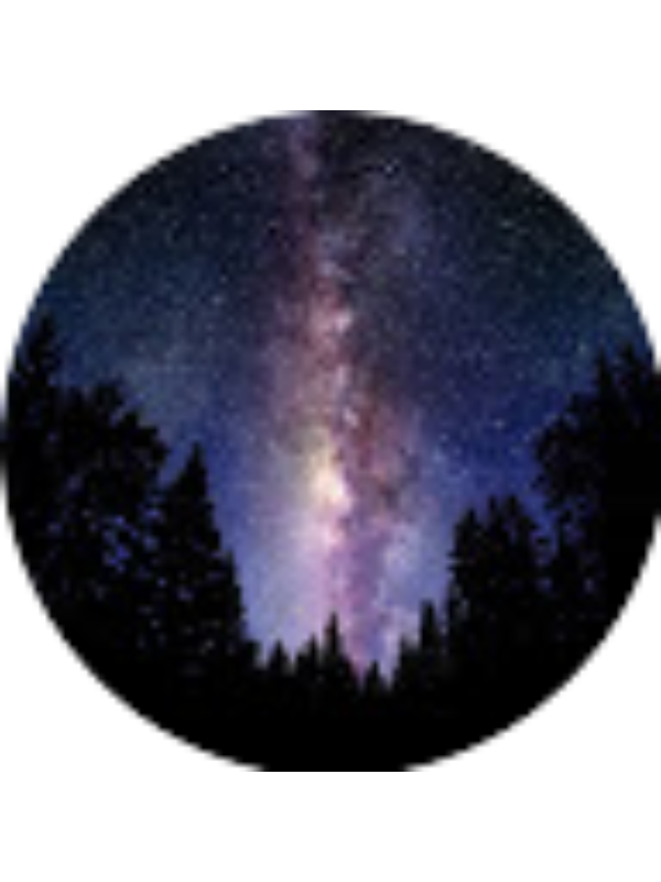 Photo of Cody Friday