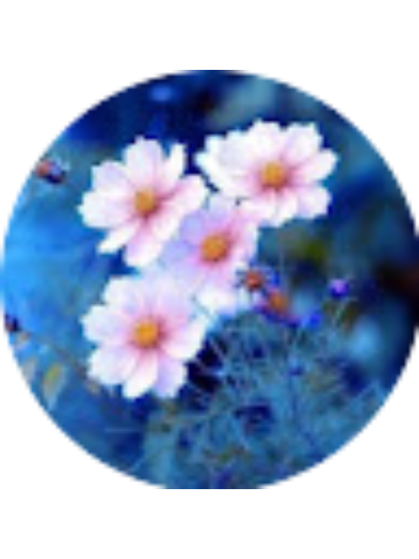 Photo of Daiva Tuskienė