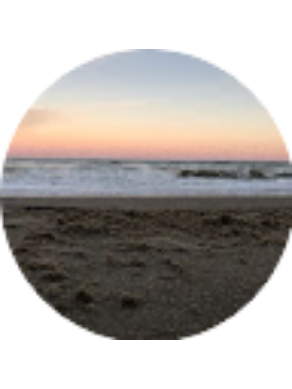 Photo of Jasmin Rebman