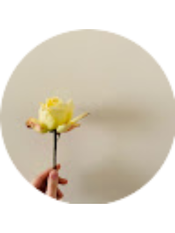 Photo of Sila Nur DINC