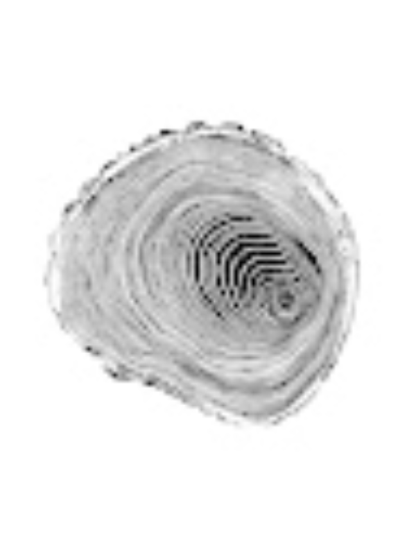 Photo of Thao-Nguyen Tran