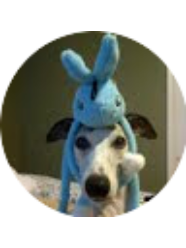 Photo of Kelsie Schmidt