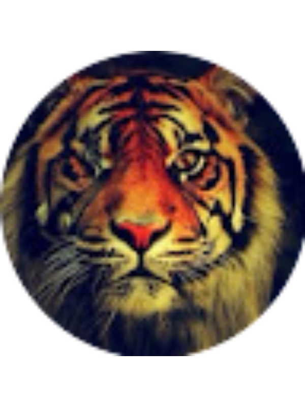 Photo of Barbare Nadiradze