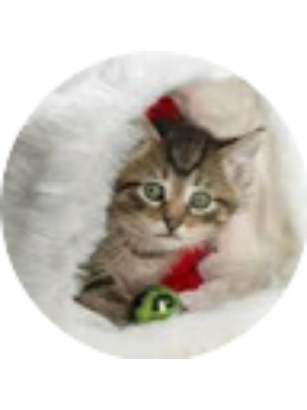 Photo of Aslıhan GEDİK