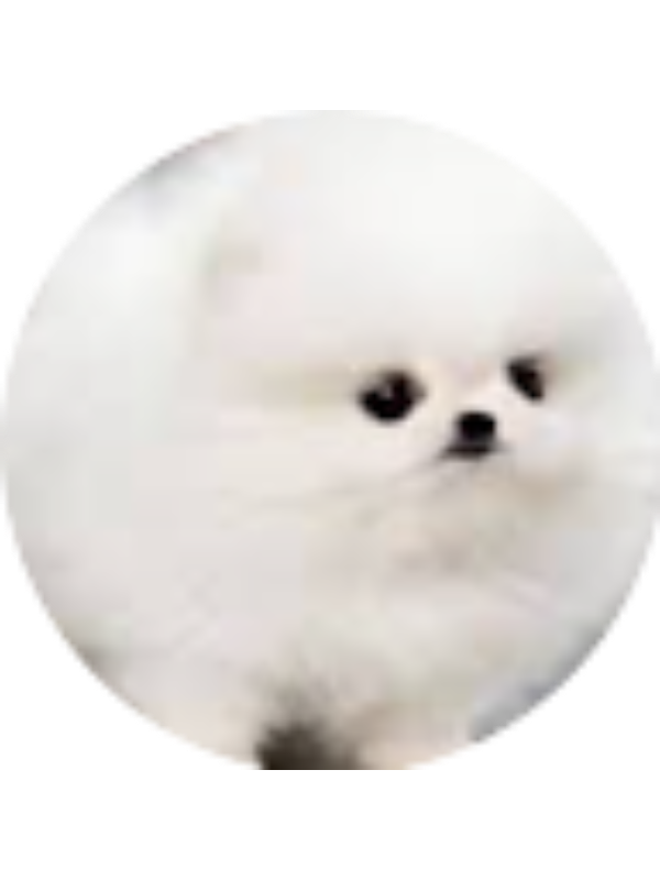 Photo of Kinley Kelley