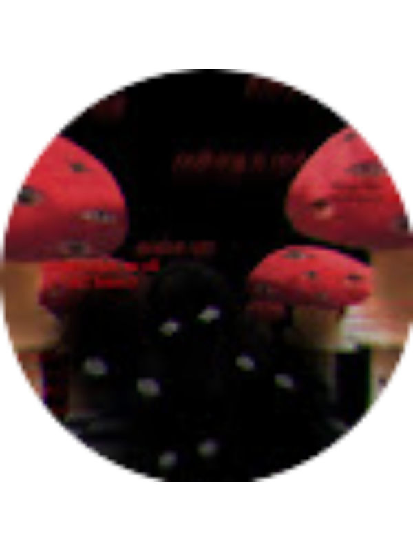 Photo of Stephanie Islas