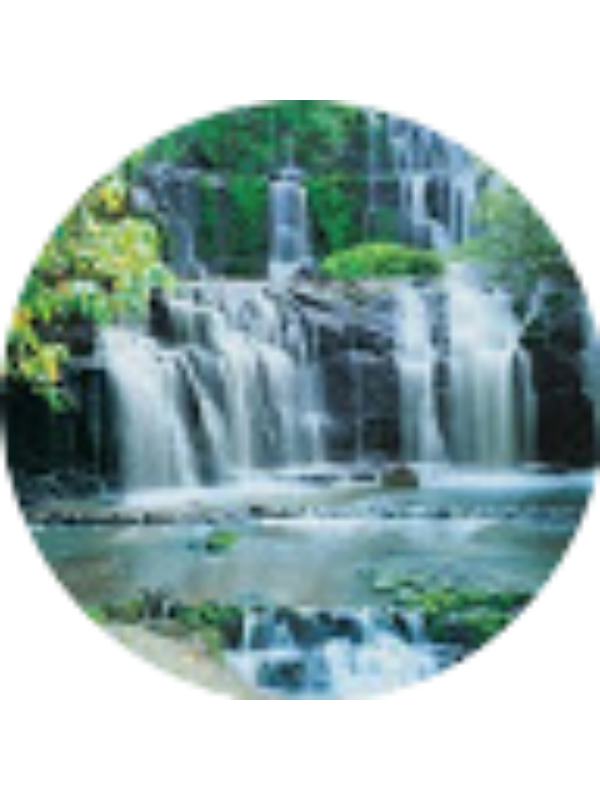 Photo of שחר משיח