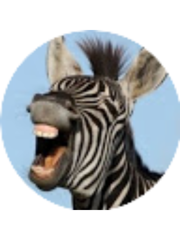 Photo of Molly Freel