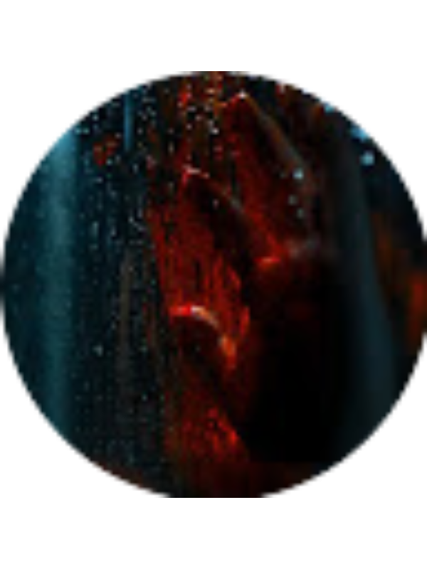 Photo of scribbledlinesofficial