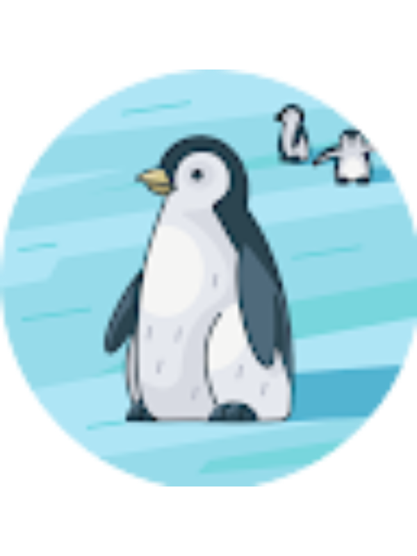 Photo of Nortei Hansen