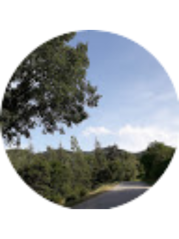 Photo of MUSTAFA TURGUT