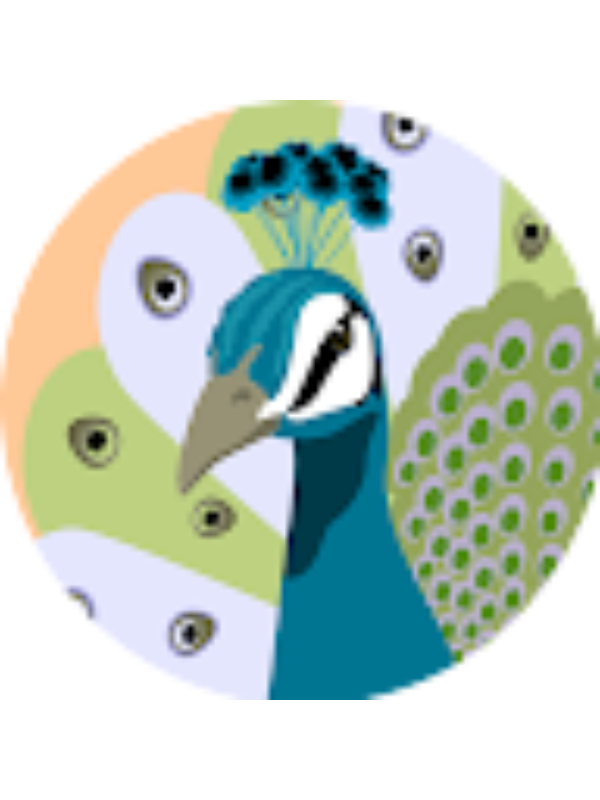 Photo of Stacy Sopotean