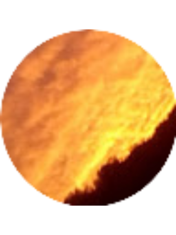 Photo of Samantha Tuschinski