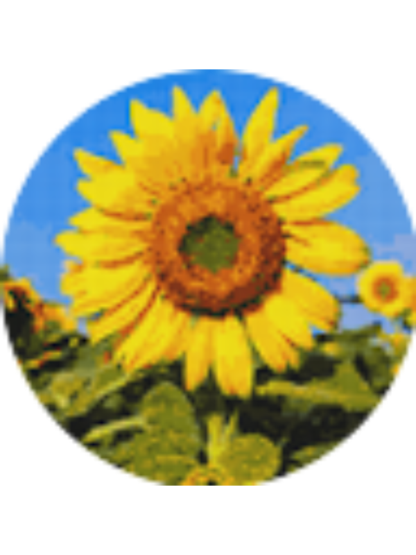 Photo of Elena Poputa