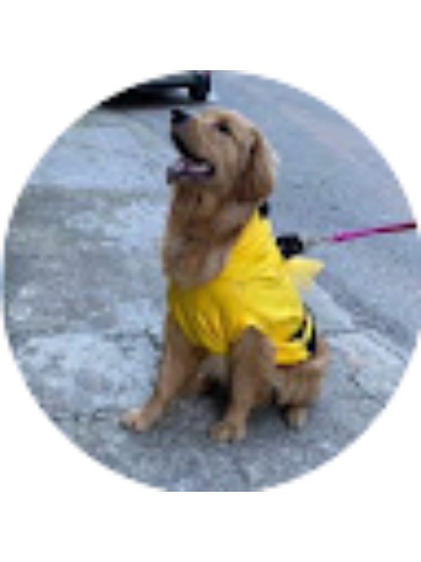 Photo of Eidan Mateo Areiza