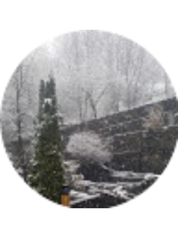 Photo of Laura Cloquell