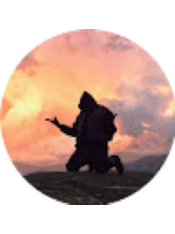 Photo of Cosmin Gabriel