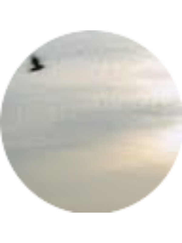 Photo of Katerina Mavrantonaki